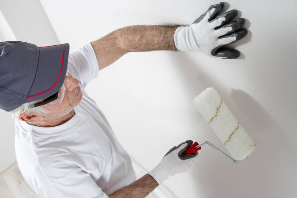  Georgetown, TX Mold Removal Pros