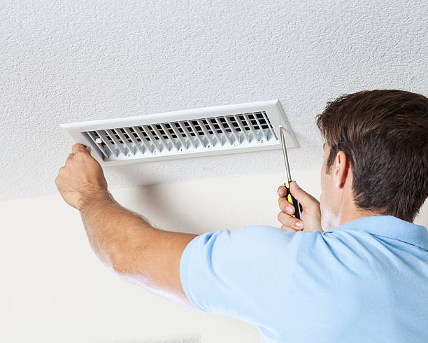 Best Attic Mold Removal  in Georgetown, TX